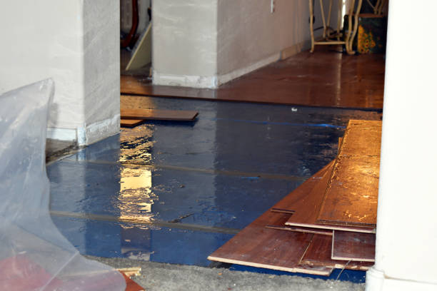 Professional Basement Flood Cleanup technician working in Flat Rock, AL